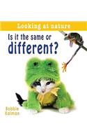 Is It the Same or Different?