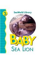 Baby Sea Lion