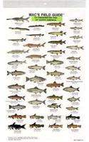 Mac's Field Guides: North American Freshwater Fish