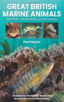 Great British Marine Animals