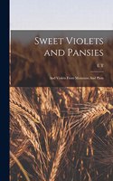 Sweet Violets and Pansies