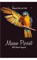 Gorgeous Blue and Gold Macaw Parrot 2020 Planner Organizer