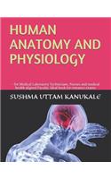 Human Anatomy and Physiology