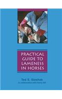 Practical Guide to Lameness in Horses