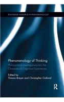 Phenomenology of Thinking