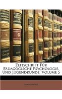 Zeitschrift Fur Padagogische Psychologie, Und Jugendkunde, Volume 5