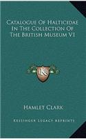 Catalogue of Halticidae in the Collection of the British Museum V1