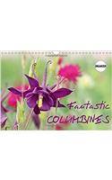 Fantastic Columbines 2017