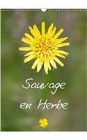 Sauvage En Herbe 2018: Sauvage En Herbe Pour Une Annee Coloree Et Douce(Calvendo Nature)