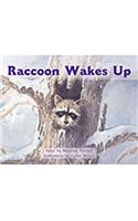 Raccoon Wakes Up