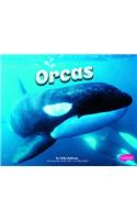 Orcas