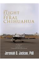 Flight of the Feral Chihuahua: In Pursuit of the Round-trip Transcontinental Speed Record