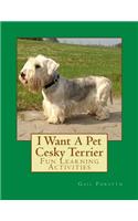I Want A Pet Cesky Terrier: Fun Learning Activities(English)