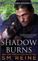 Shadow Burns: An Urban Fantasy Mystery