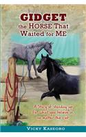 Gidget -- The Horse That Waited For Me