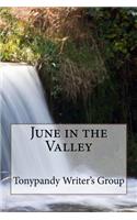 June in the Valley