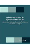 Pyrene Degradation by Mycobacterium sp. KMS