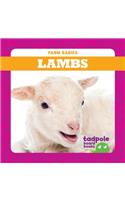 Lambs