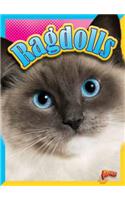 Ragdolls: (Cat STATS)