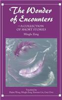 Wonder of Encounters: A Collection of Short Stories