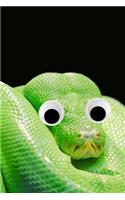 Googly Eye Python Journal: 100-page blank lined journal featuring a green python with googly eyes