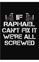 If Raphael Can't Fix It We're All Screwed