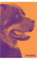 Notebook: Rottweiler Dog Breed Pet Diary Journal (Orange)