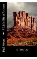 A Little Bit of Arizona: Volume 23(23 Arizona)