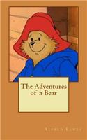 The Adventures of a Bear