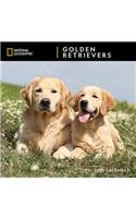 Cal 2021- Ng Golden Retrievers Wall