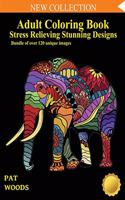 Adult Coloring Book
