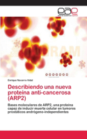 Describiendo una nueva proteína anti-cancerosa (ARP2)