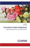 Carnation Under Polyhouse