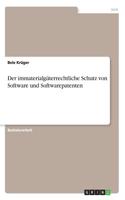 immaterialgüterrechtliche Schutz von Software und Softwarepatenten