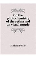 On the photochemistry of the retina and on visual purple