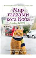 The world through the eyes of Bob cat. The New Adventures of Red Man and his friend