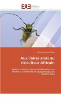 Auxiliaires Amis Au Riziculteur Africain
