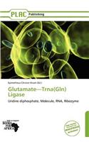 Glutamate-Trna(gln) Ligase