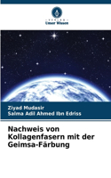 Nachweis von Kollagenfasern mit der Geimsa-Färbung