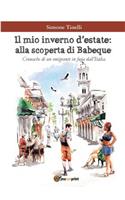 Il mio inverno d'estate: alla scoperta di Babeque - Cronache di un emigrante in fuga dall'Italia
