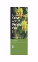 Colour Atlas of Medicinal Plants (Vol 2) [Hardcover] R.K. Bhutiya