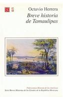 Breve Historia de Tamaulipas