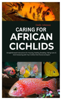 Caring for African Cichlids