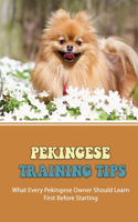 Pekingese Training Tips: What Every Pekingese Owner Should Learn First Before Starting: Down