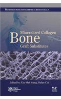 Mineralized Collagen Bone Graft Substitutes