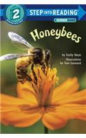 Sir 4/7 Yrs:Honeybees L2