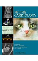 Feline Cardiology