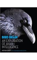 Bird Brain