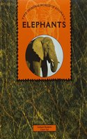 Elephants 6pk