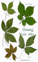 Ginseng Look-Alikes